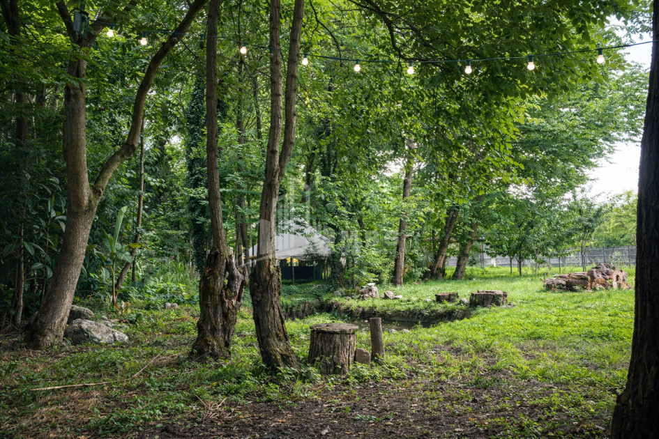 Business for sale Commercial Telavi Kakheti