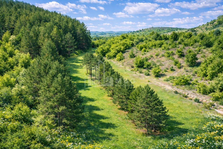 For Sale Land Daba Surami Khashuri Shida Kartli