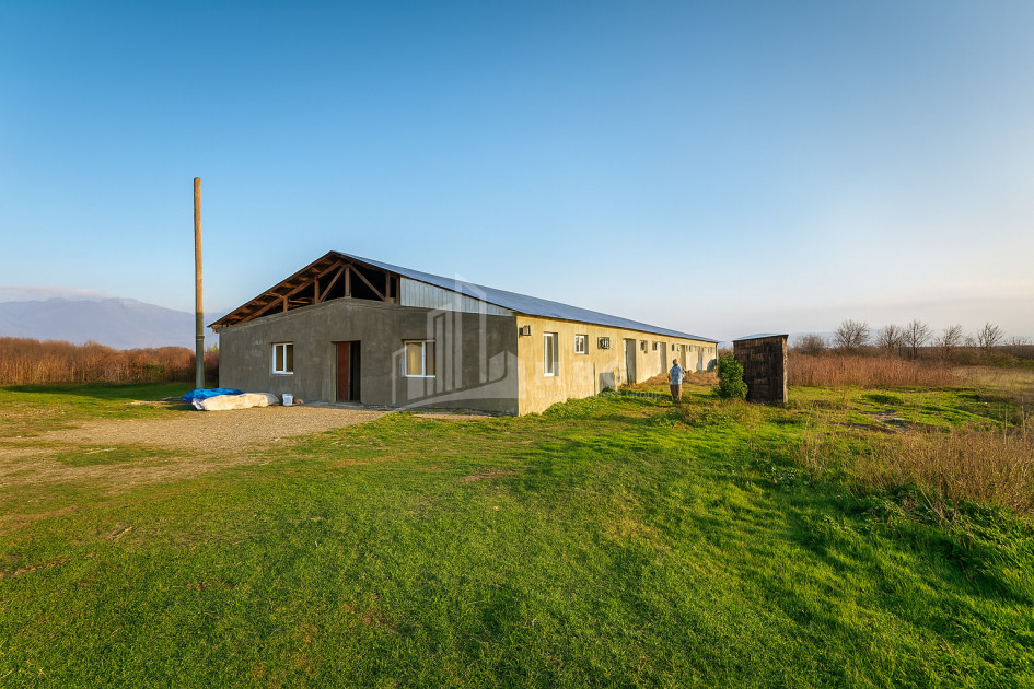 Продается Земля Зинобиани Кварели Кахети