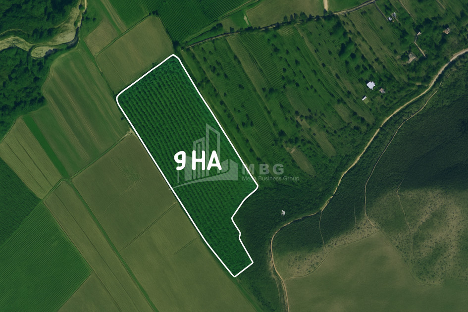 For Sale Land Bolnisi Kvemo Kartli