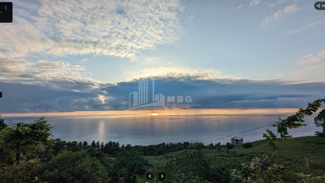 იყიდება კომერციული - არასასოფლო მიწის ნაკვეთი სარფში, ხელვაჩაური