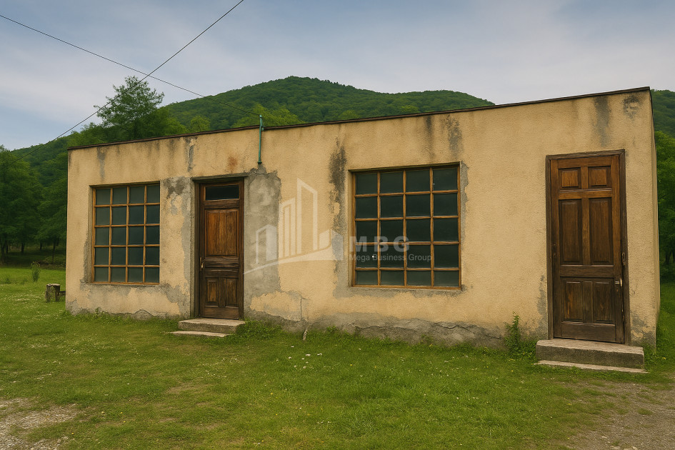 იყიდება კომერციული ფართი ამბროლაური რაჭა   ლეჩხუმი ქვემო სვანეთი