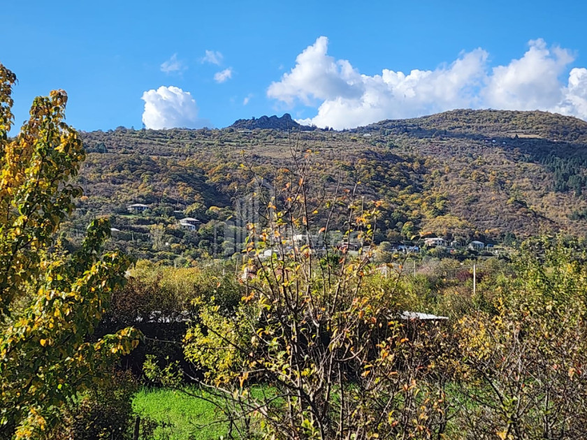 იყიდება მიწის ნაკვეთი დუშეთი მცხეთა   მთიანეთი