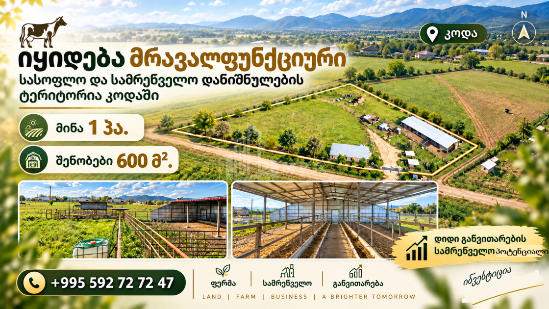 For Sale Production / warehousing space, Business yard Commercial In Koda, Tetritskaro