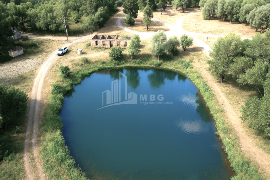 For Sale Land Kekhijvari Kareli Shida Kartli