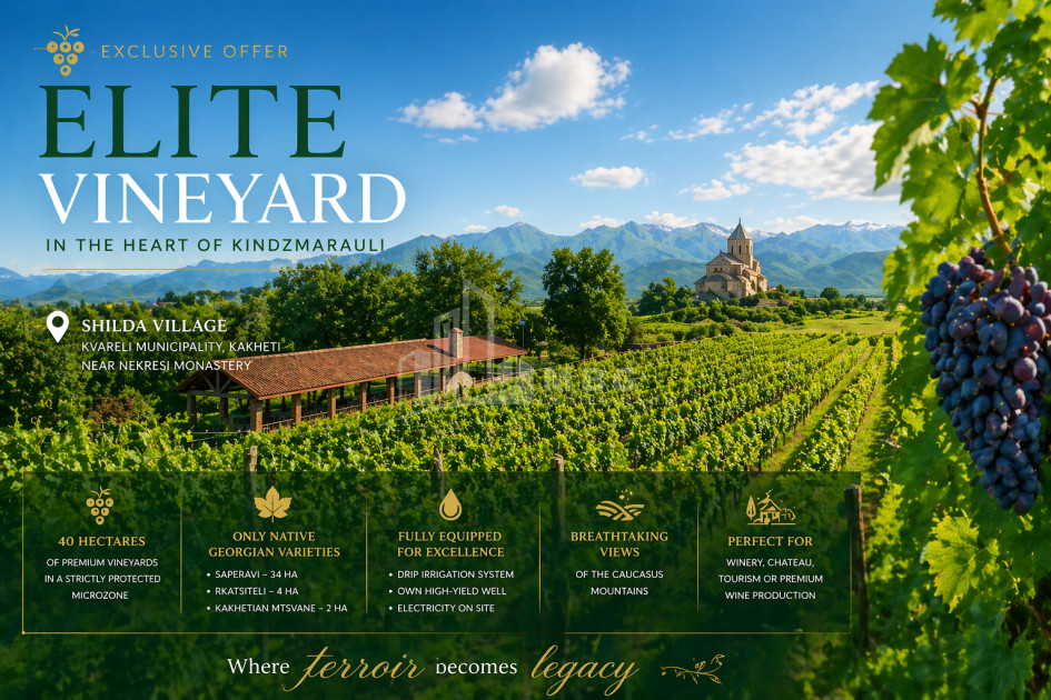 Продается Виноградник - Замковые Земля В Шильде, Кварели