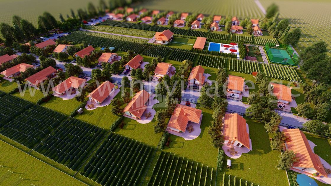 For Sale House - Villa, in Kvareli