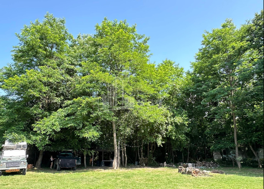 იყიდება ბიზნესი კომერციული ფართი თელავი კახეთი