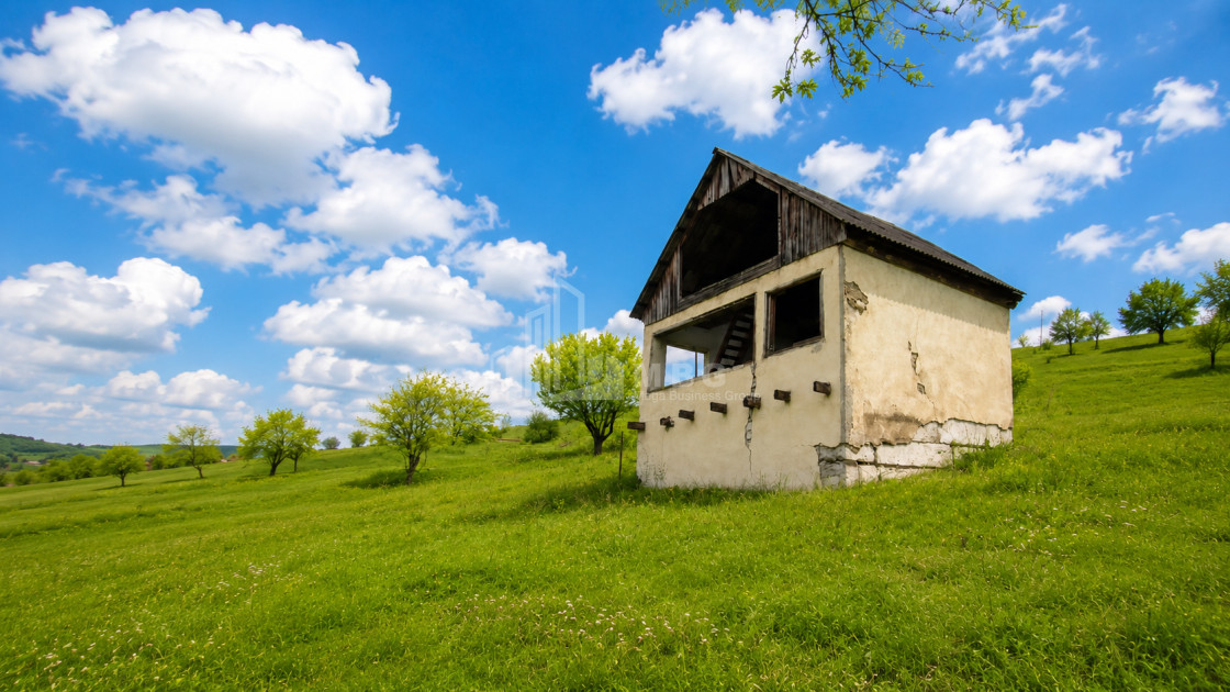For Sale Country Land In Iltosa village, Dusheti