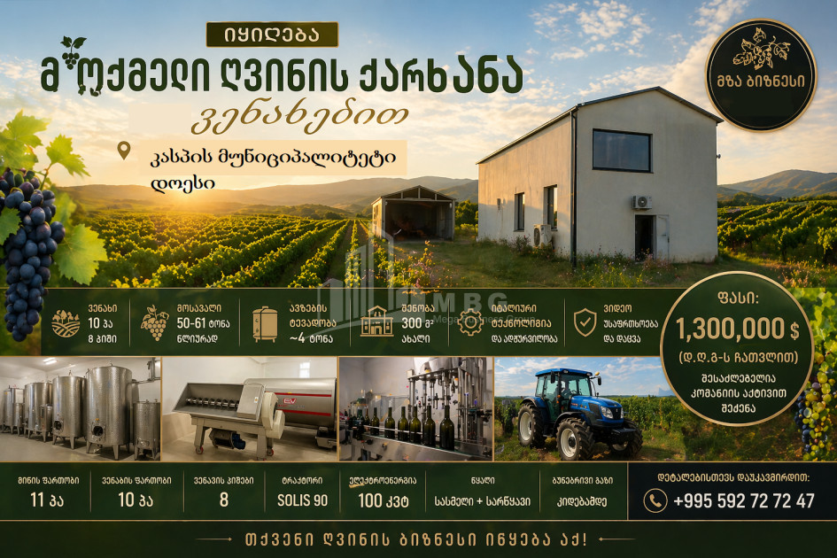 For Sale Chateau / Wine factory Commercial In Does, Kaspi