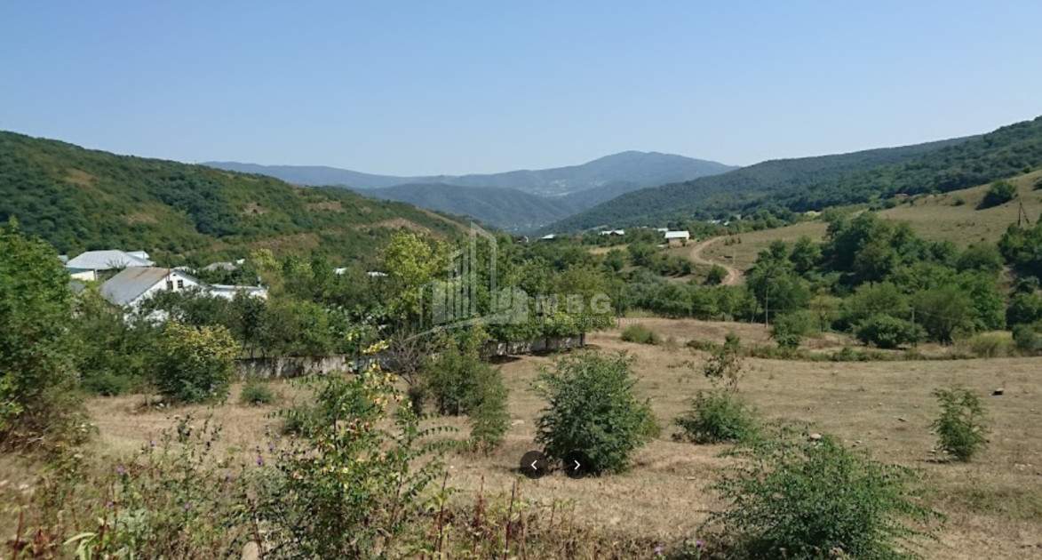იყიდება მიწის ნაკვეთი დუშეთი მცხეთა   მთიანეთი