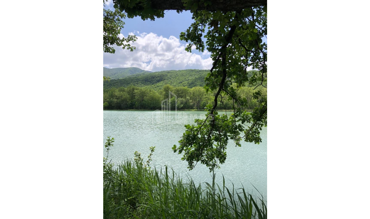 For Sale Lake - Fishing farm Land, in Gombori