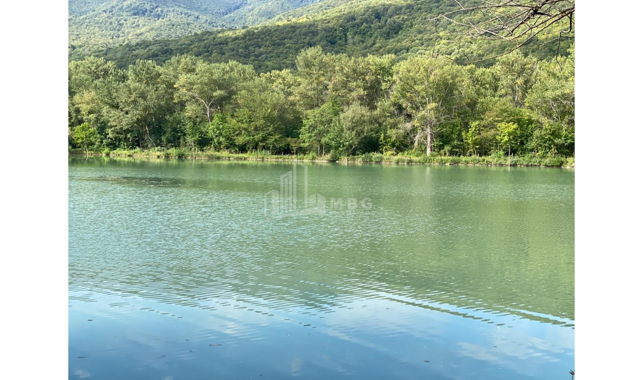 For Sale Lake - Fishing farm Land, in Gombori