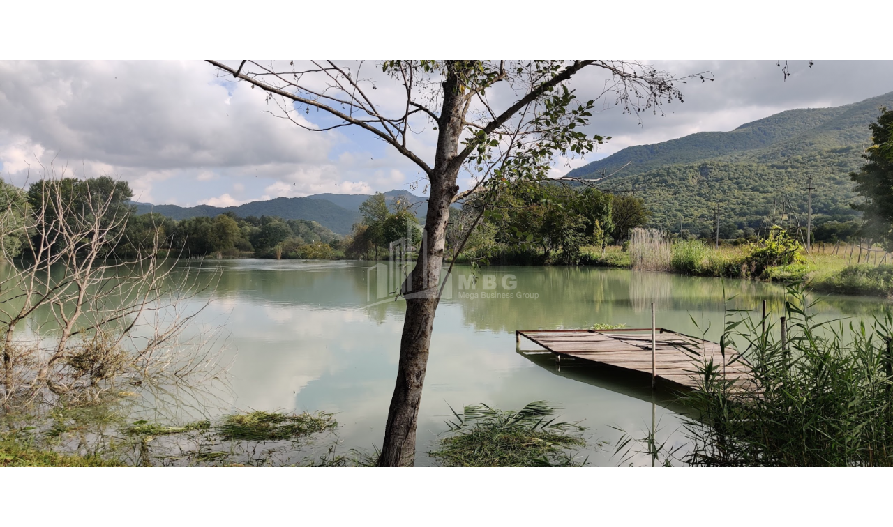 For Sale Lake - Fishing farm Land, in Gombori