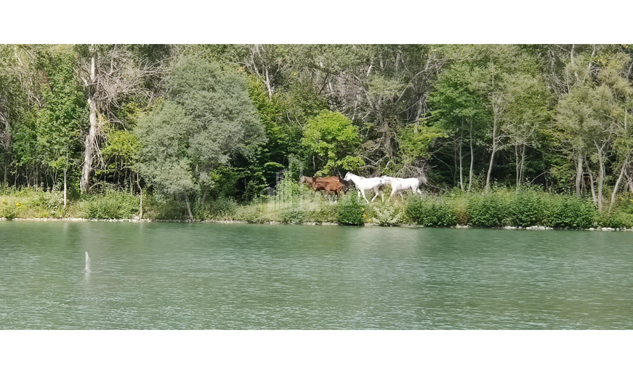 For Sale Lake - Fishing farm Land, in Gombori