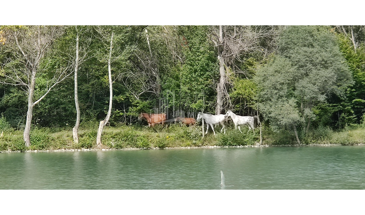 For Sale Lake - Fishing farm Land, in Gombori