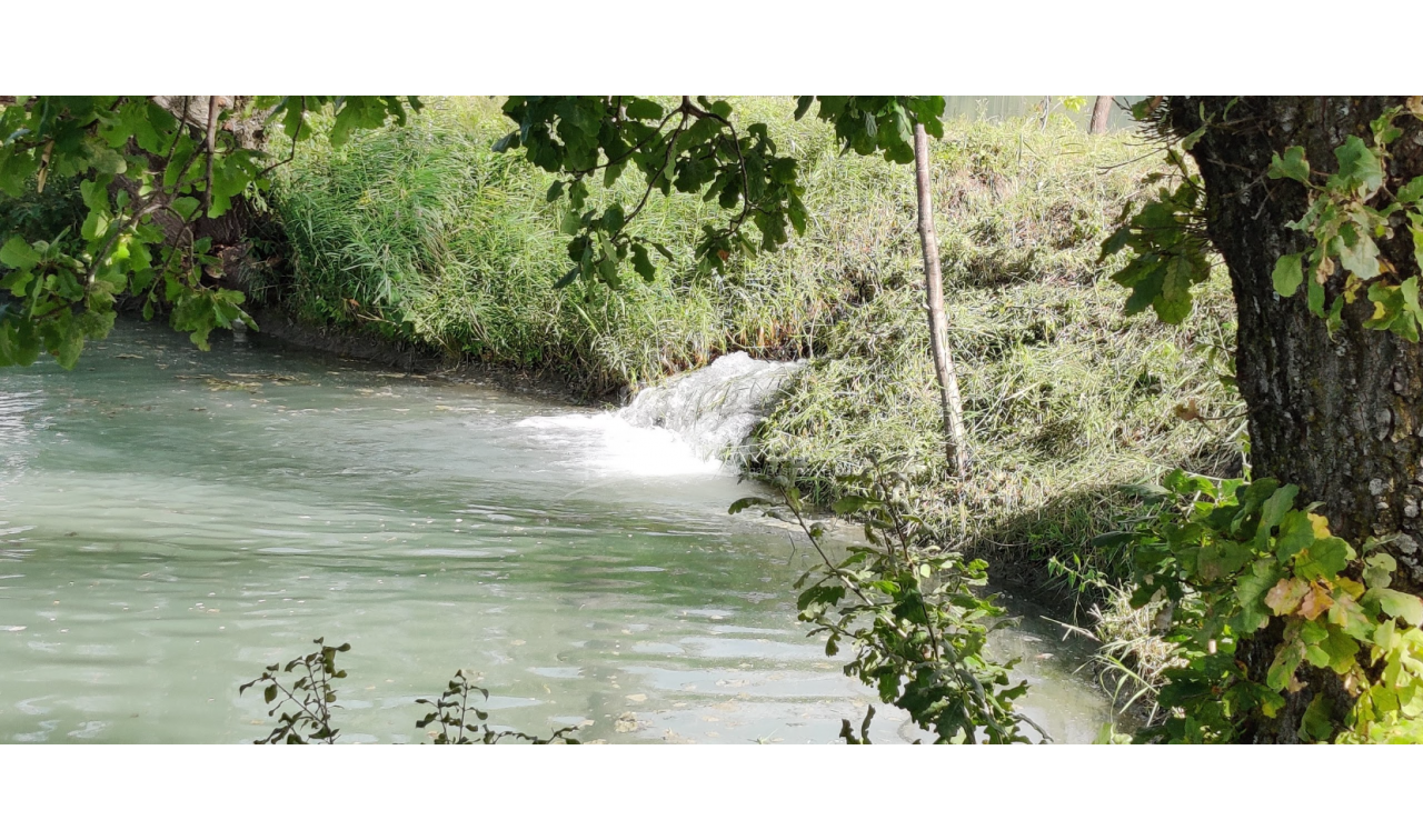 For Sale Lake - Fishing farm Land, in Gombori