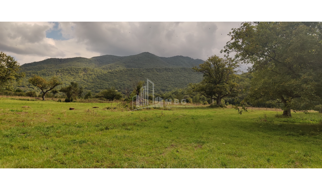 For Sale Lake - Fishing farm Land, in Gombori