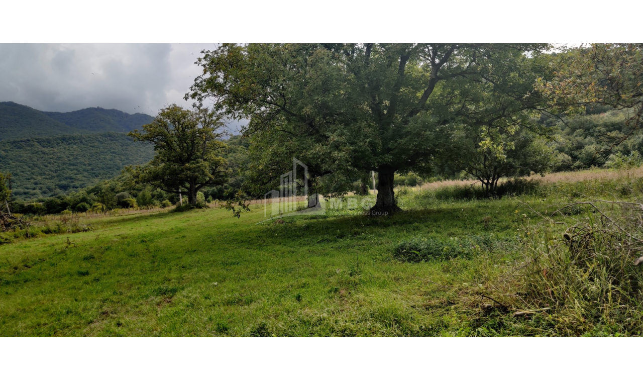 For Sale Lake - Fishing farm Land, in Gombori