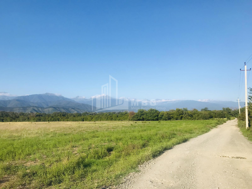 Продается Виноградник - Замковые Земля, в Телави