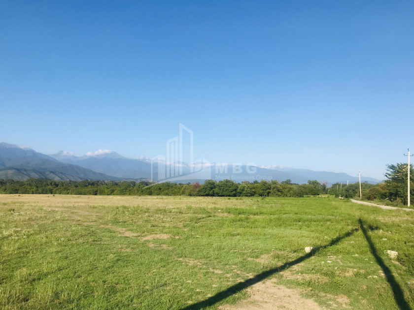 Продается Виноградник - Замковые Земля, в Телави