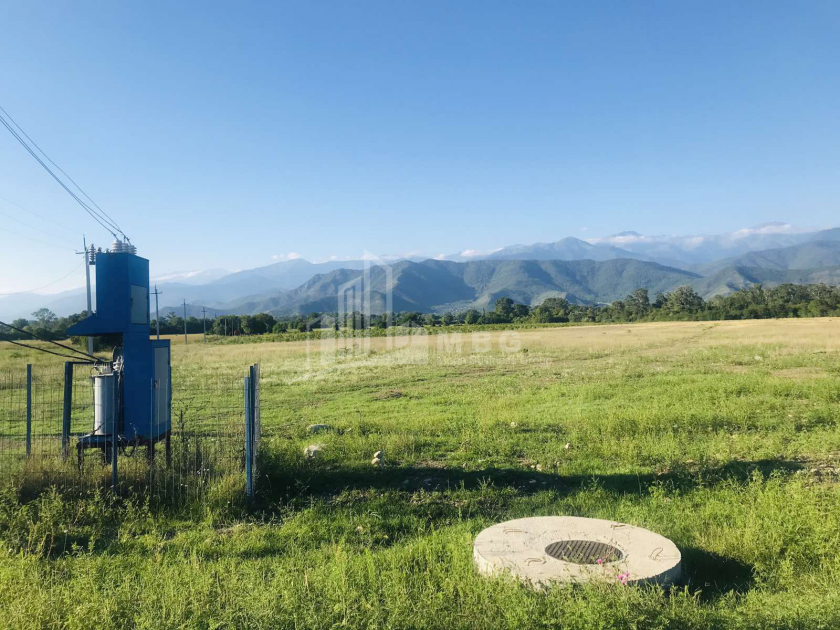 Продается Виноградник - Замковые Земля, в Телави