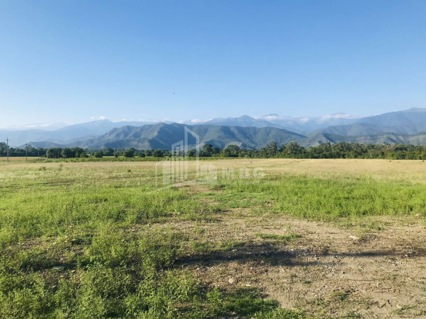 Продается Виноградник - Замковые Земля, в Телави