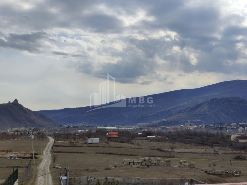 For Sale House - Villa, in Village Tsitsamuri