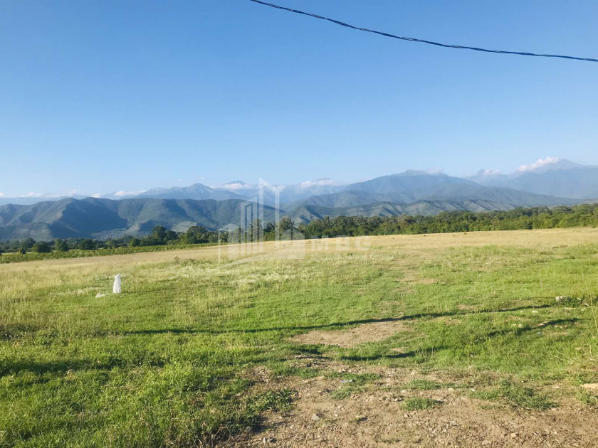 Продается Виноградник - Замковые Земля, в Телави