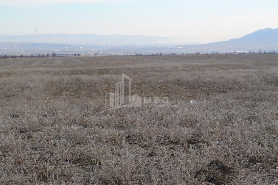 For Sale Orchards Land, in Kvemo Teleti