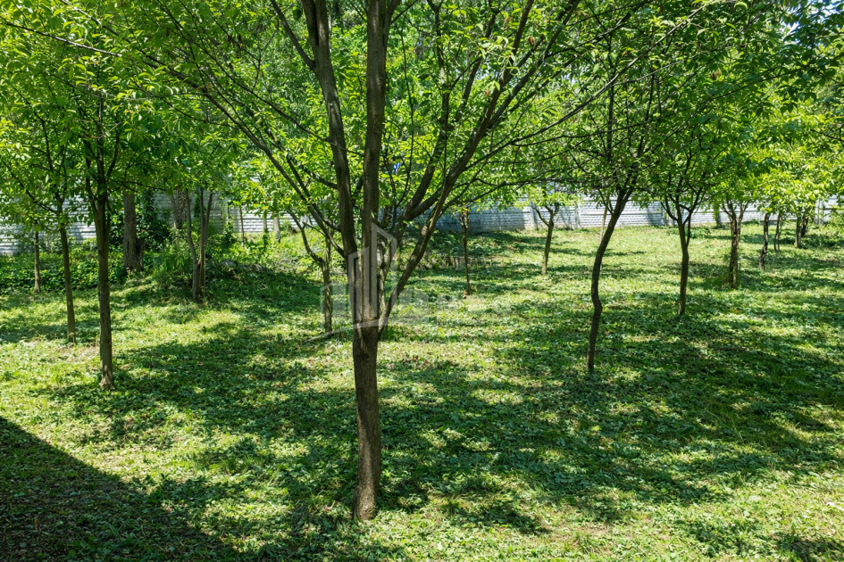 Business for sale Commercial Telavi Kakheti