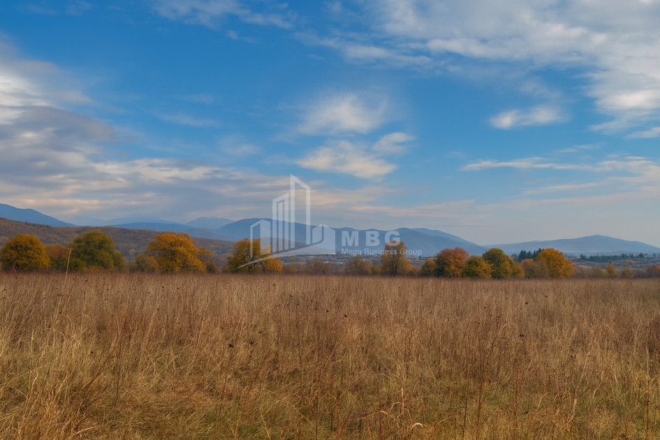 For Sale Land Gremi Kvareli Kakheti