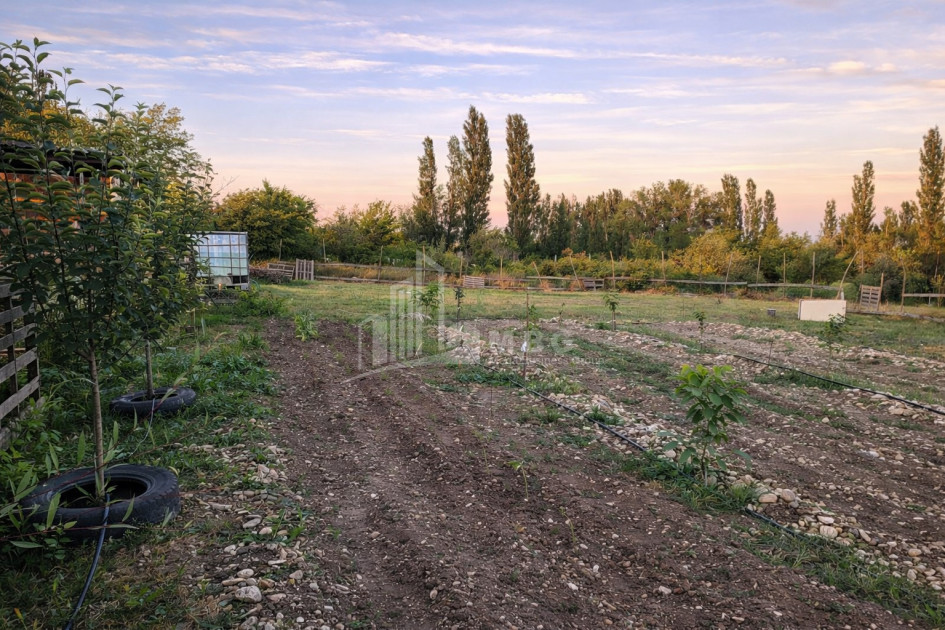 For Sale Country Land In Samgorski, Samgori District