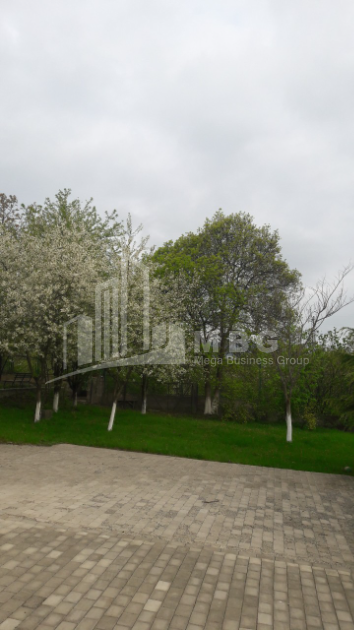 For Sale Residential Land, in Tabakhmela
