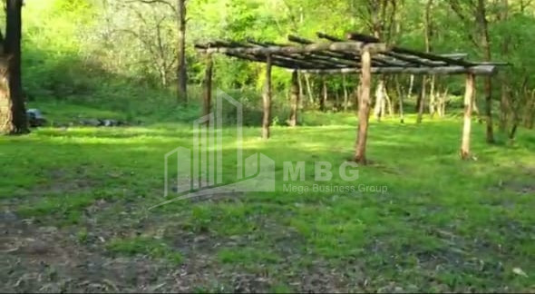 For Sale Land Sabue Kvareli Kakheti