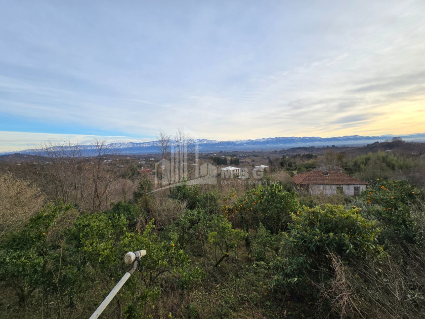 იყიდება ძველი აშენებული სახლი - აგარაკი ზემო ნატანებში, ოზურგეთი