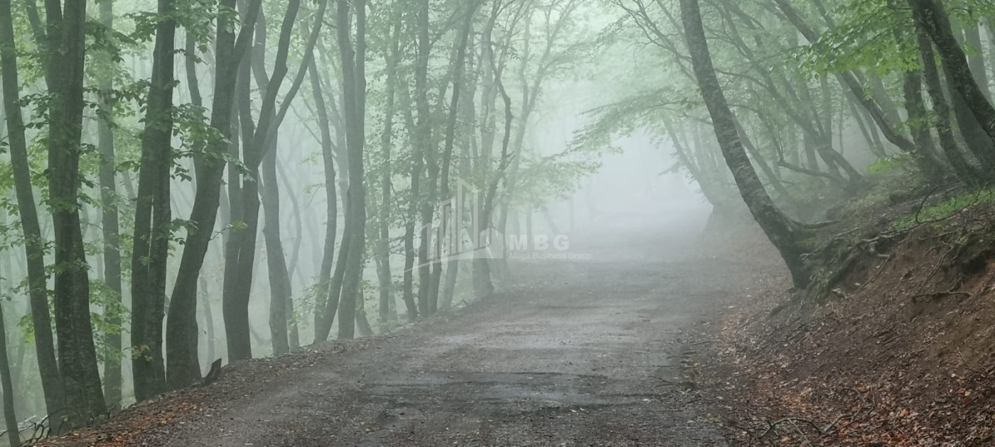 Продается Дом - Вилла В Коджори, Мтацминда Район