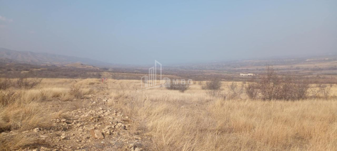 For Sale Land Samtatskaro Dedoplistskaro Kakheti