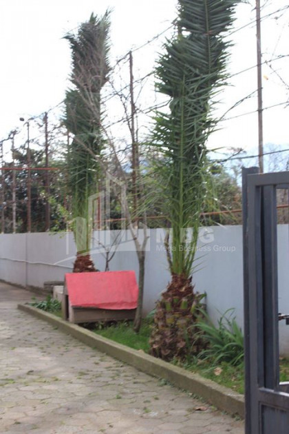 For Rent House - Villa, in Airport Settlement