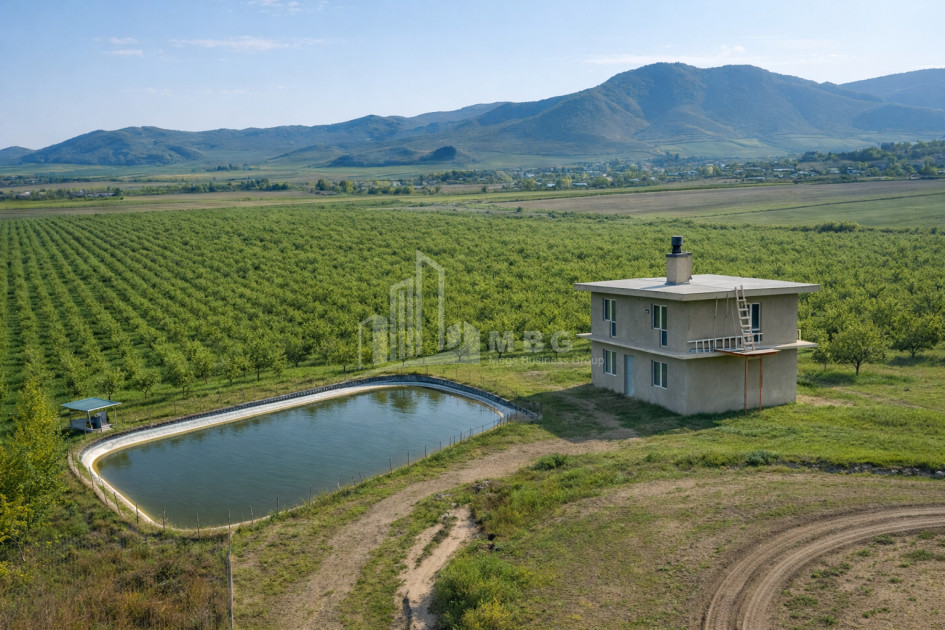 For Sale Land Bolnisi Kvemo Kartli