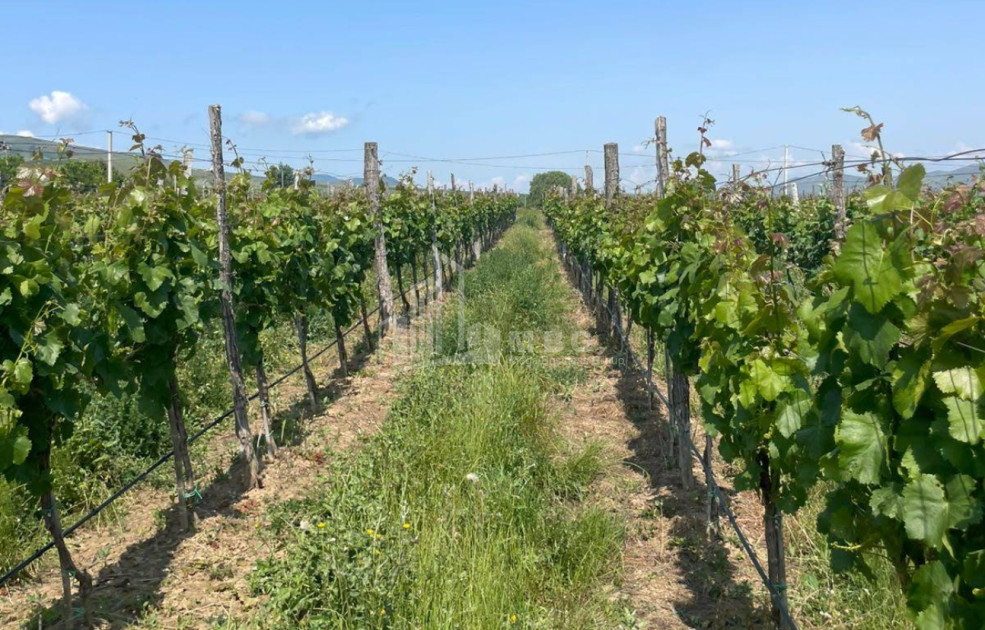 იყიდება კომერციული ფართი დოესი კასპი შიდა ქართლი