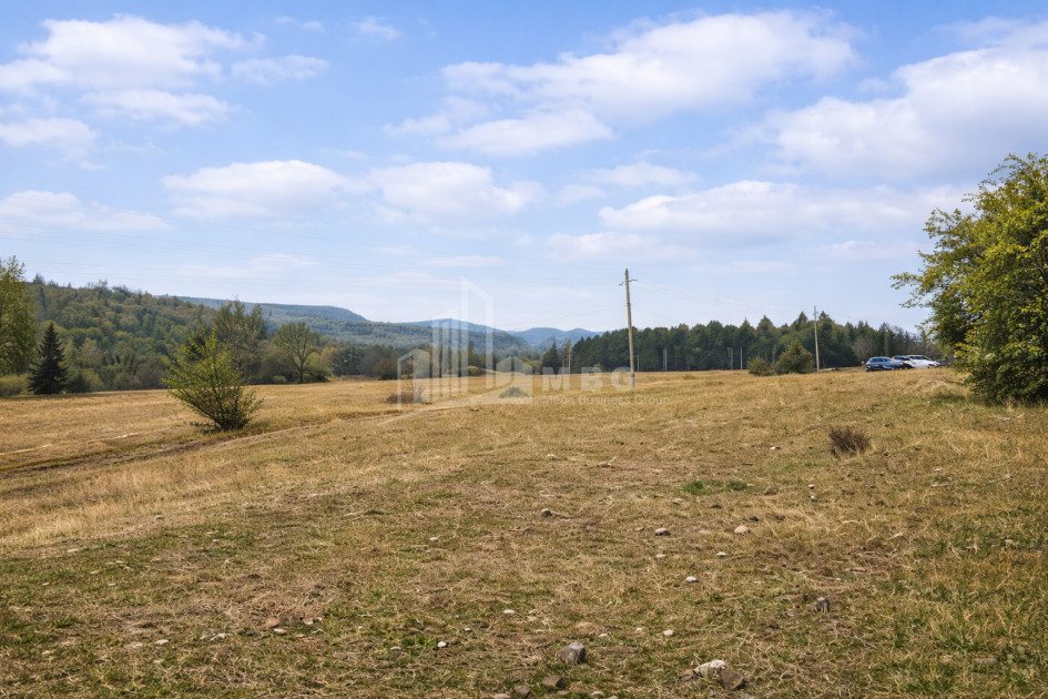 Продается Старое здание Дом - Вилла В Шалаури, Телави