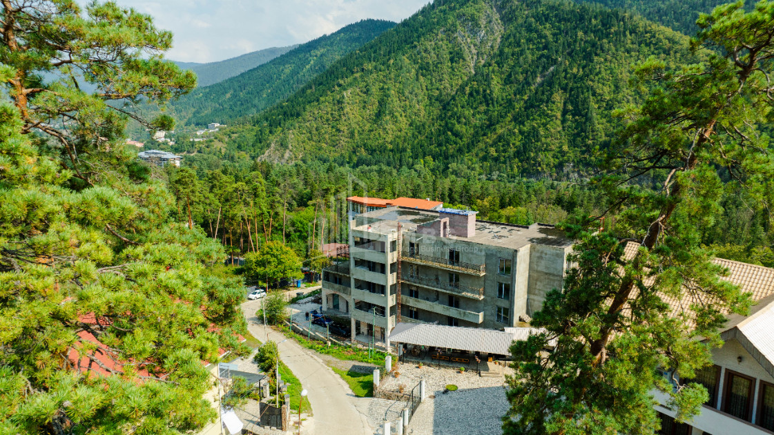 For Sale Commercial Likani Borjomi Samtskhe   Javakheti