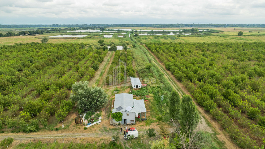 For Sale Land Kakheti