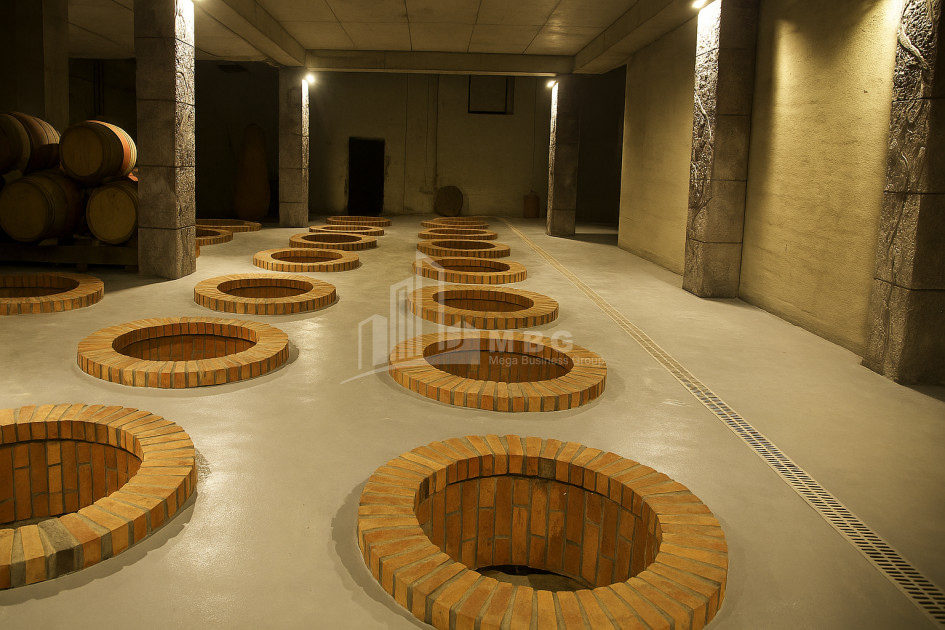 Продается Коммерческий Охио Ахмета Кахети