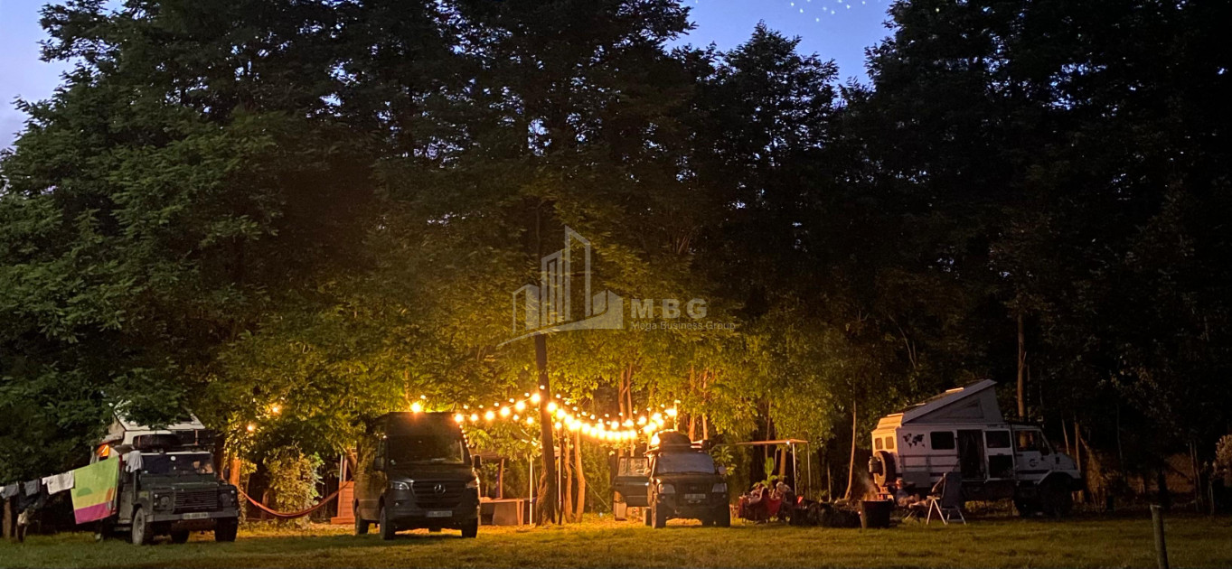 იყიდება ბიზნესი კომერციული ფართი თელავი კახეთი