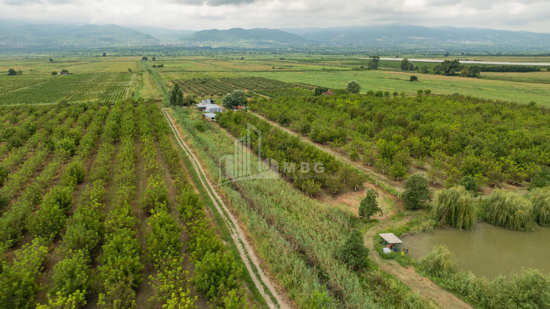 For Sale Land Kakheti