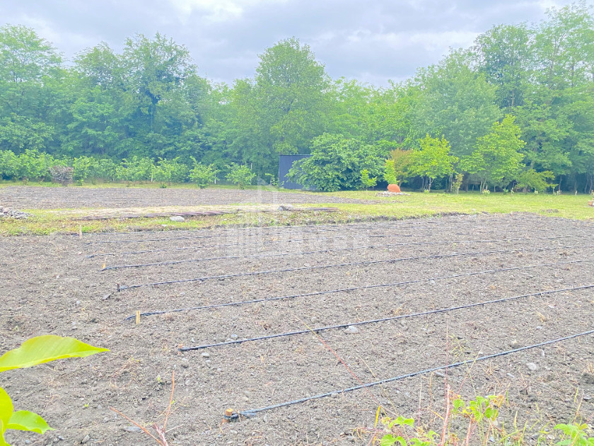 იყიდება ბიზნესი კომერციული ფართი თელავი კახეთი