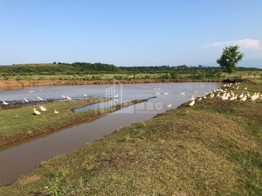 For Sale Land Khoni Imereti