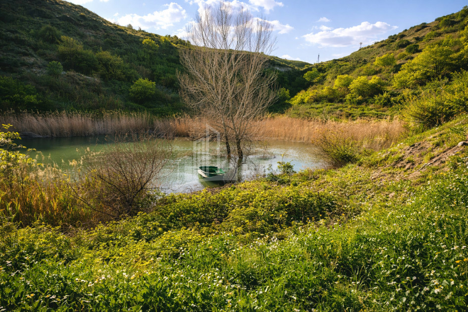 Продается Озеро - Рыболовное хозяйство Земля В Деревния Гачиани, Гардабани